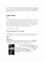 [국제마케팅] 대우일렉트로닉스사의 중동지역(이라크) 현지화전략-4