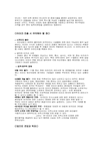 [국제마케팅] 대우일렉트로닉스사의 중동지역(이라크) 현지화전략-9