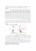 [마케팅] 안철수연구소 현재 마케팅과 수정및 과제-5