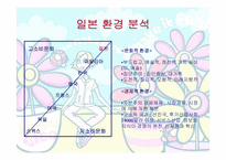 글로벌시장의마케팅전략 -해피앤코의 일본진출-5