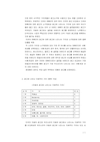 [마케팅]브랜드 이미지와 문화적 상관관계-국내 및 해외 광고사례를 바탕으로-11
