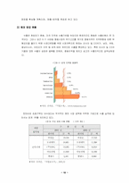 [국제경영전략] 로만손 글로벌전략-12