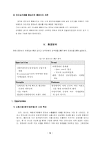 [국제경영전략] 로만손 글로벌전략-16