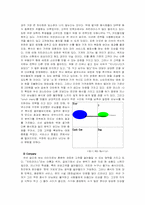 [마케팅원론] 치킨라이스의 마케팅전략-6