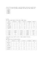[마케팅원론] 치킨라이스의 마케팅전략-16