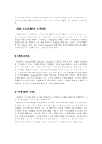 [마케팅] P&G 러시아시장공략 사례-4
