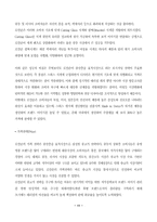 [국제경영전략](주)로만손시계 자사브랜드 수출전략-13