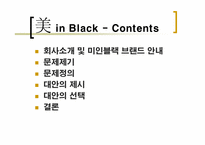 [브랜드마케팅] `美 in Black` 미인블랙 브랜드전략-2