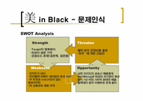 [브랜드마케팅] `美 in Black` 미인블랙 브랜드전략-6