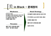 [브랜드마케팅] `美 in Black` 미인블랙 브랜드전략-7