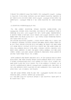 [인터넷마케팅] CJmall 인터넷쇼핑몰의 마케팅전략-10