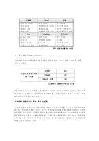 [인터넷마케팅] CJmall 인터넷쇼핑몰의 마케팅전략-11