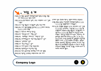 [해외진출전략] 진로소주의 미국시장공략-6