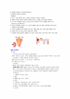 [성인간호학 실습]만성 신부전-2