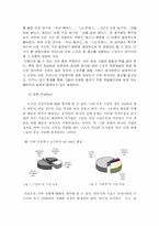 [마케팅]F.C. SEOUL 축구팀의 마케팅 환경과 전략 분석-5