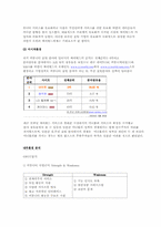 싸이월드 기업분석-4