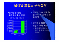 [마케팅] 뷰티넷 화장품 `미샤` 마케팅전략-5