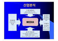 [마케팅] 뷰티넷 화장품 `미샤` 마케팅전략-14