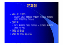 [마케팅] 뷰티넷 화장품 `미샤` 마케팅전략-16