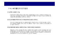 [인터넷기업분석] 싸이월드 인터넷기업의 분석-5