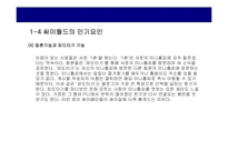 [인터넷기업분석] 싸이월드 인터넷기업의 분석-6