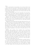 [마케팅전략]문화전략과 장소마케팅-2