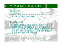 [영화마케팅] 한국영화산업의 마케팅-`태극기휘날리며`의 성공사례-12