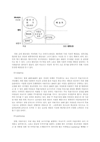[마케팅사례] 비요뜨 마케팅사례분석-9