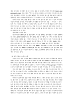 [매스컴] 인터넷과 대중문화-6