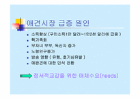 [사업계획서] 애견호텔과 애견시터-9