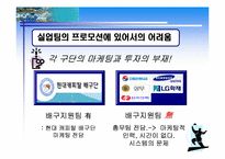 [스포츠마케팅] 배구의 발전을 위한 프로화를 이루기 위한 방안-12
