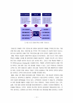 [고객관리] 현대자동차 CRM시스템에 관한 사례 연구-10