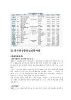 [중국통상론] 중국 화장품시장 진출 전략-6