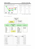 [국제경영](주)레인콤 아이리버의 미국시장진출-12