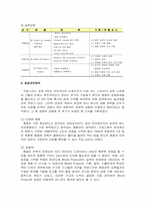 [국제경영] 삼성전자 중국과 프랑스진출사례-13