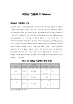 [글로벌경영] sk텔레콤의 해외진출전략-15