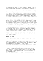 [광고경영론] `IRIVER` 아이리버 마케팅전략-6