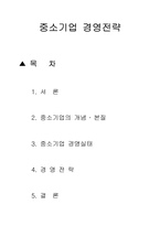 중소기업 경영전략-1