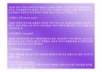 [작품분석] 원더풀데이즈 분석 통한 한국 애니메이션의 현주소와 대책-12