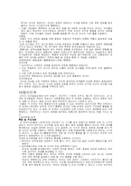 피아제의인지이론-5