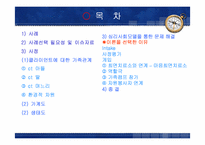 사회복지실천모델 개입-2