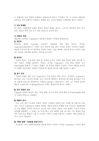 교육과3B) 비고츠키의 인지이론에 대하여 논하시오00 -10