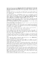 [중국경제론] 중국 소비 분석과 그에 대한 중국 진출 기업의 대응 전략-4