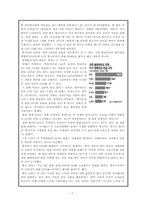 [중국경제론] 중국의 불법복제 현황과 불법복제의 부정적 영향-7