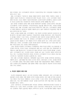 [중국경제론] 중국의 불법복제 현황과 불법복제의 부정적 영향-9