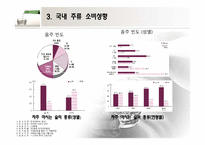 [마케팅] 주류시장의 소비패턴 분석-12