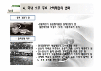 [마케팅] 주류시장의 소비패턴 분석-14