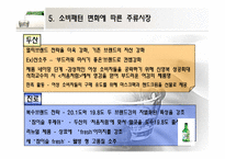 [마케팅] 주류시장의 소비패턴 분석-17