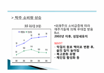 [마케팅] 주류시장의 환경변화에따른 소비자의 특성변화 분석-6