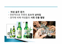[마케팅] 주류시장의 환경변화에따른 소비자의 특성변화 분석-10